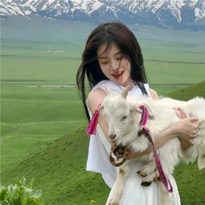 蜡笔小新：谜团！花之天下春日部学院